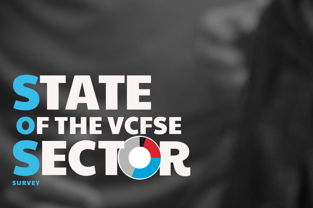 State of the Sector Survey 2025